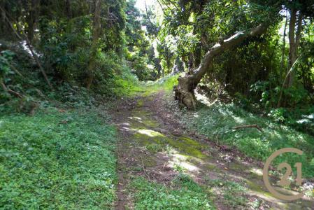 Saint David's, St.David West Indies, Grenada