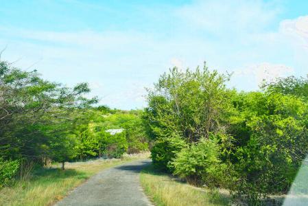 Point Salines, St.George West Indies, Grenada