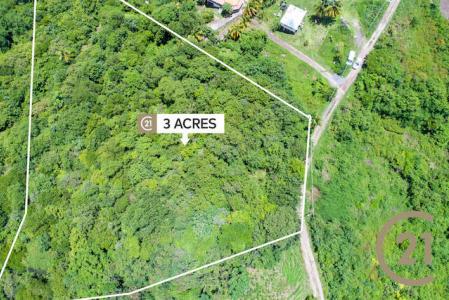 Saint David's, St.David West Indies, Grenada