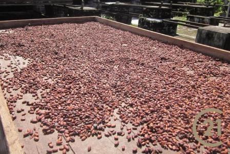 Nonpareil, St.Mark West Indies, Grenada