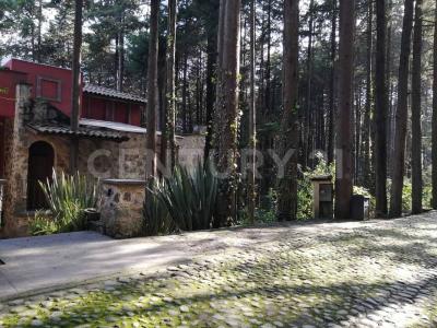 Av Cañada, Fraccionamiento Hacienda San Martin 3,, Ocoyoacac, Estado De México 52740, Mexico