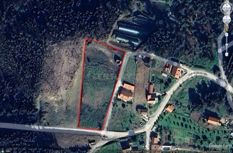 Sertã, Castelo Branco 6100-109, Portugal