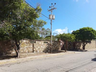 Calle Rojas Terreno, La Asunción, Nueva Esparta 6311, Venezüella