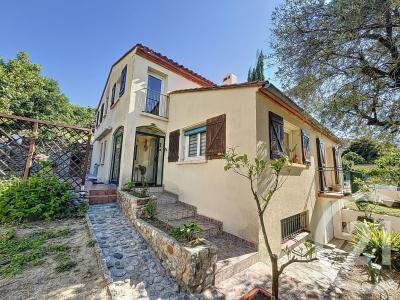 Ceret, Languedoc-Roussillon 66400, Francia