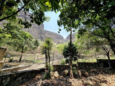 Barrio San Martín S/N,, Malinalco, Estado De México 52440, México