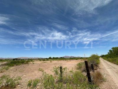 Aldama, Chihuahua 32902, Messico
