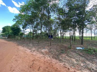 hogar de ancianos santa clara -25.456393710706042, Caaguazú, Caaguazú 3660, Paraguay