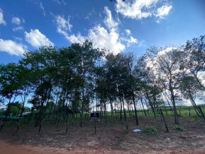 hogar de ancianos santa clara -25.456393710706042, Caaguazú, Caaguazú 3660, Paraguay