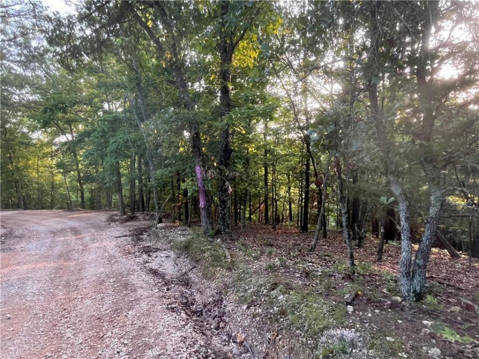 TBD Jims TR, Rogers, Arkansas 72756