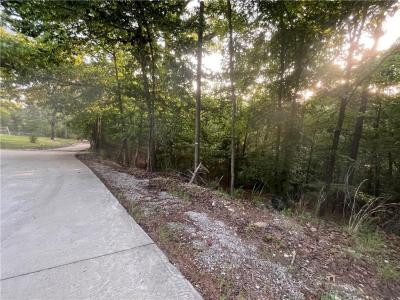 TBD Jims TR, Rogers, Arkansas 72756