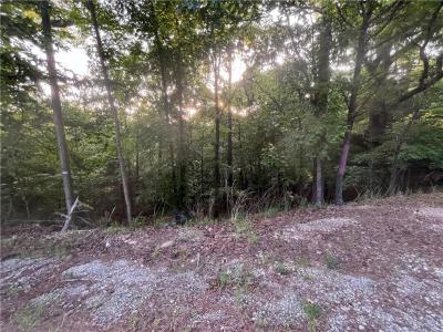 TBD Jims TR, Rogers, Arkansas 72756
