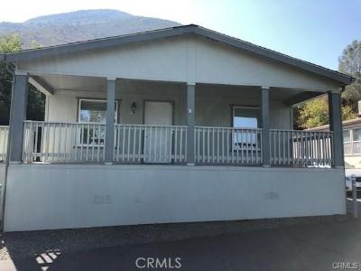 8925 Soda Bay Rd T14 #T14, Kelseyville, Kaliforniya 95451, Amerika Birleşik Devletleri