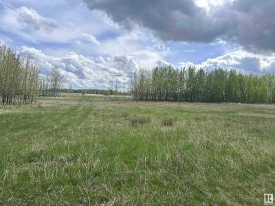 206 49505 RANGE ROAD 80, Rural Brazeau County, Alberta T7A 0C1, Canadá