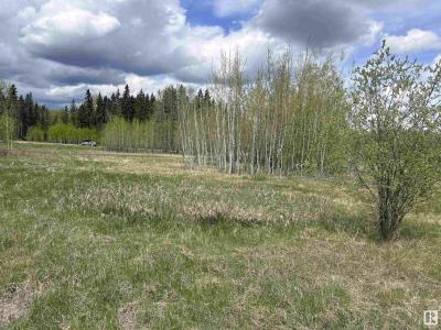 206 49505 RANGE ROAD 80, Rural Brazeau County, Alberta T7A 0C1, Canadá