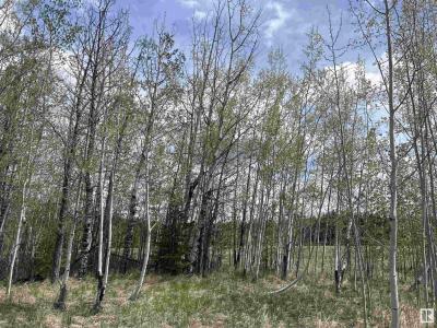 206 49505 RANGE ROAD 80, Rural Brazeau County, Alberta T7A 0C1, Canadá