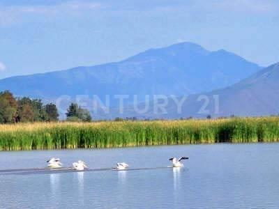Ejido de Villa Corona Fracción 12 de la parcela 672,, Villa Corona, Jalisco 45745, Mexique