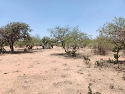 Priv. Los Palomos ,, Mexquitic De Carmona, San Luis Potosi 78483, México