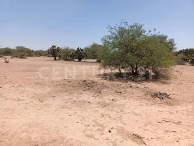 Priv. Los Palomos ,, Mexquitic De Carmona, סן לואיס פוטוסי 78483, מקסיקו