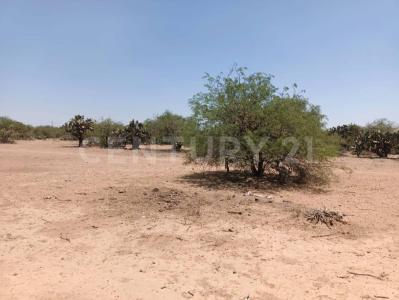 Priv. Los Palomos ,, Mexquitic De Carmona, סן לואיס פוטוסי 78483, מקסיקו