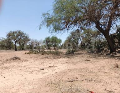 Priv. Los Palomos ,, Mexquitic De Carmona, סן לואיס פוטוסי 78483, מקסיקו