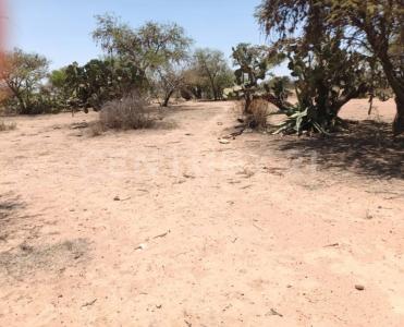 Priv. Los Palomos ,, Mexquitic De Carmona, סן לואיס פוטוסי 78483, מקסיקו