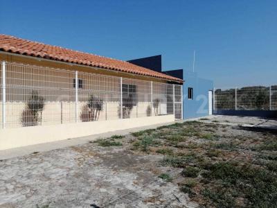 Cisnes esq. Nicolas Bravo S/N,, Cuauhtemoc, ولاية كوليما 28500, المكسيك