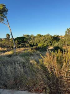 Cascais, Lisbon 2750-233, Portugal