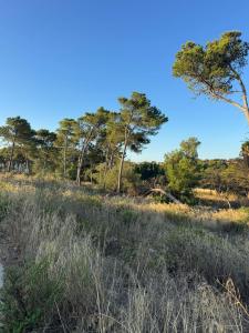 Cascais, Lisbon 2750-233, Portugal