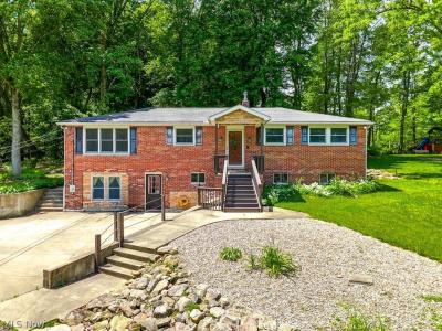 12802 Clinton Road, Doylestown, Ohio 44230, USA