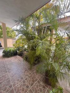 50 avenida bis entre 7 e hidalgo 615,, Cozumel, 金塔纳罗奥 77667, 墨西哥
