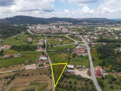 Miranda Do Corvo, Coimbra 3220-244, Portugal