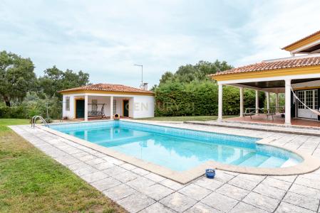 Tomar, Santarém 2305-322, Portugal