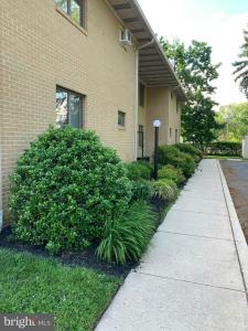 503 WHITE HORSE PIKE B2, COLLINGSWOOD, 뉴져지 08107, 미국