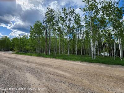 Lot 14 WALNUT DRIVE, Star Valley Ranch, Wyoming 83127