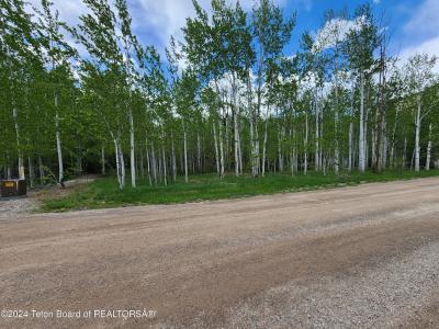 Lot 14 WALNUT DRIVE, Star Valley Ranch, Wyoming 83127