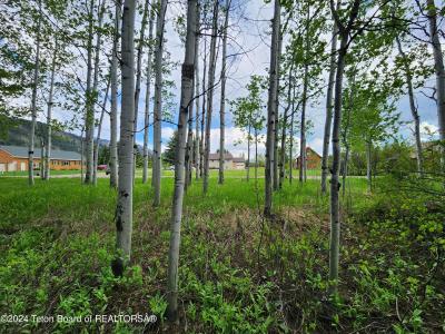 Lot 14 WALNUT DRIVE, Star Valley Ranch, Wyoming 83127