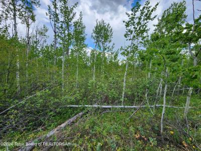 Lot 14 WALNUT DRIVE, Star Valley Ranch, Wyoming 83127