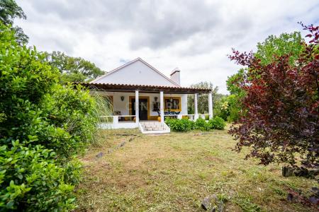 Odemira, Beja 7630-536, Bồ Đào Nha