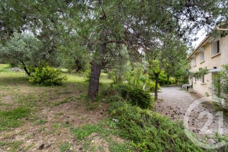 Clermont L Herault, Languedoc-Roussillon 34800, فرنسا