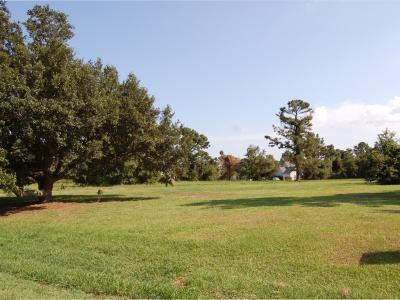 5522 Sandpiper Drive, Oriental, Caroline Du Nord 28571, États-Unis