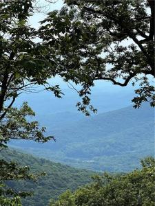 5388 Monument Road, Jasper, Georgia 30143, USA