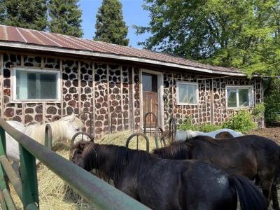 40Z Ch. des Outaouais, L'Île-du-Grand-Calumet, Quebec J0X 1J0, Kanada