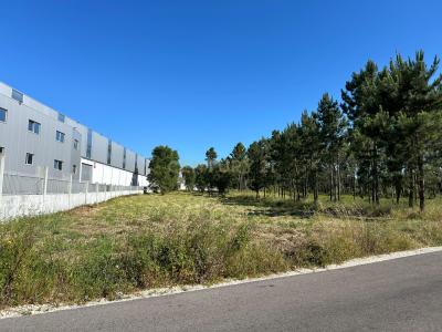 Sabugal, Guarda 2405-001, Portugal