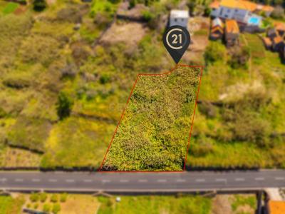 Calheta, Madeira 9370-725, Portugal