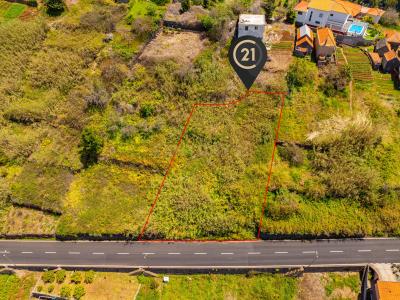 Calheta, Madeira 9370-725, Portugal