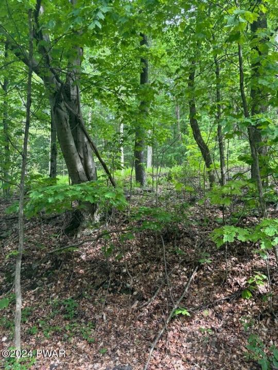Lot #8 Mill Creek Road, Newfoundland, Pennsylvania 18445