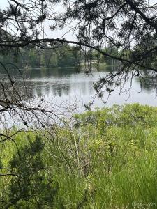215 Driftwood, Gwinn, Michigan 49841, Stati Uniti