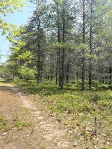 215 Driftwood, Gwinn, Michigan 49841, Stati Uniti