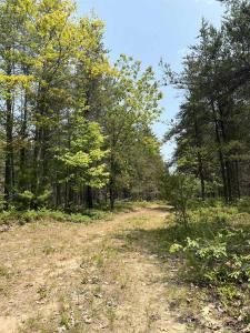 215 Driftwood, Gwinn, Michigan 49841, Stati Uniti