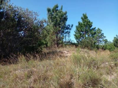 Punta Del Diablo, Rocha 00001, Uruguay